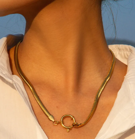 De statement carabiner charm ketting