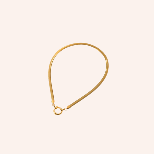 De statement carabiner charm ketting